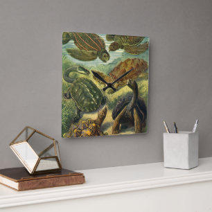 Vintage Tortoises and Sea Turtles by Ernst Haeckel Square Wall Clock