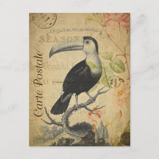  Vintage Toucan Bird Pink Roses Floral French