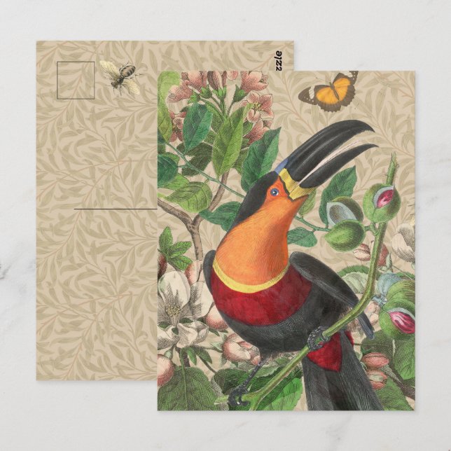 Vintage Toucan Botanical Collage William Morris Postcard (Front/Back)