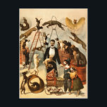 Vintage Trained Circus Dog Act Trick Dogs1899 Postcard<br><div class="desc">Vintage Trained Circus Dog Act Trick Dogs 1899</div>