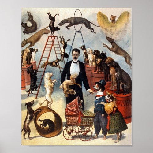 Vintage Trained Circus Dog Act Trick Dogs 1899 Poster