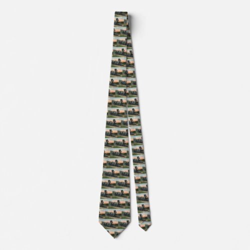 Vintage Transportation Western Antique Coal Train Neck Tie