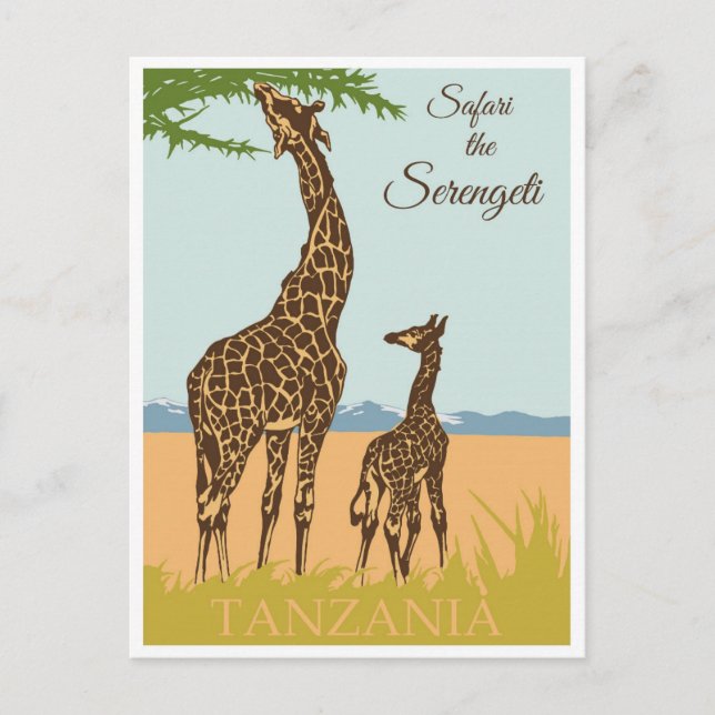 Vintage Travel Africa Tanzania Safari Postcard (Front)