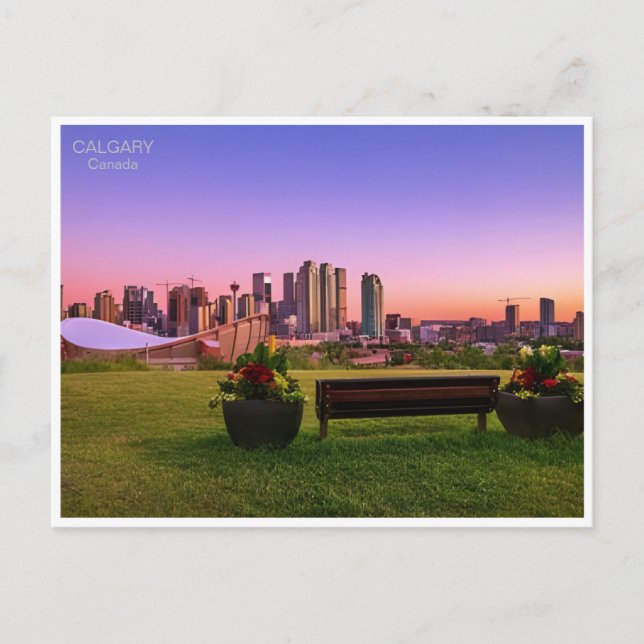 Vintage travel Calgary Alberta Canada edmonton  Postcard (Front)