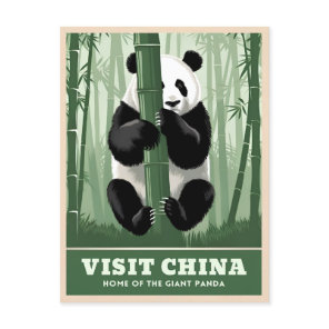 Vintage Travel China Panda Wildlife Nature Retro  Postcard
