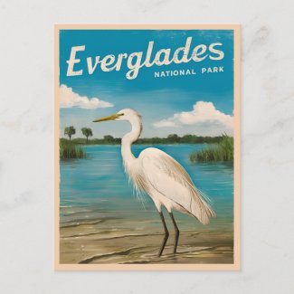 Vintage Travel Florida Everglades Nature Wildlife