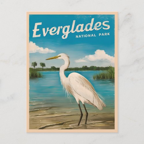 Vintage Travel Florida Everglades Nature Wildlife Postcard