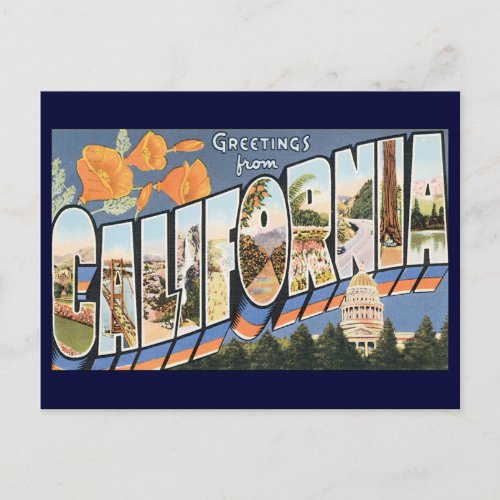 Vintage Travel Greetings from California Poppies Postcard