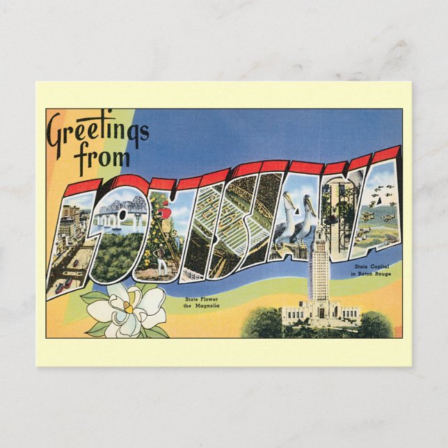 Vintage Travel, Louisiana, Change of Address Announcement Postcard (Front)