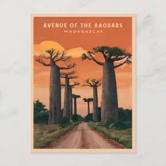 Vintage Travel Madagascar Baobab Trees Landscape 