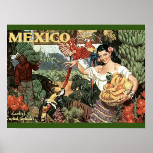 Vintage - Travel - Poster - Mexico - Tropical