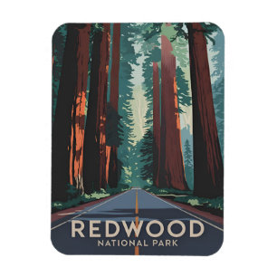 Vintage Travel Redwood National Park Retro Scenic Magnet
