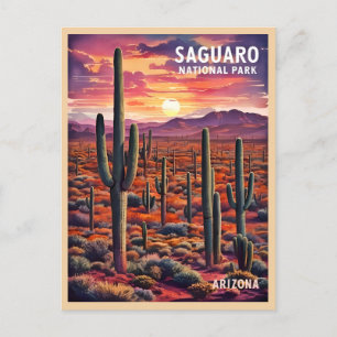 Vintage Travel Saguaro National Park Arizona Retro Postcard