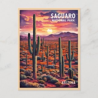 Vintage Travel Saguaro National Park Arizona Retro