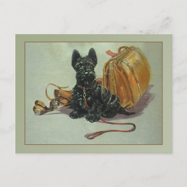 Vintage Traveling Scottie Dog Postcard (Front)