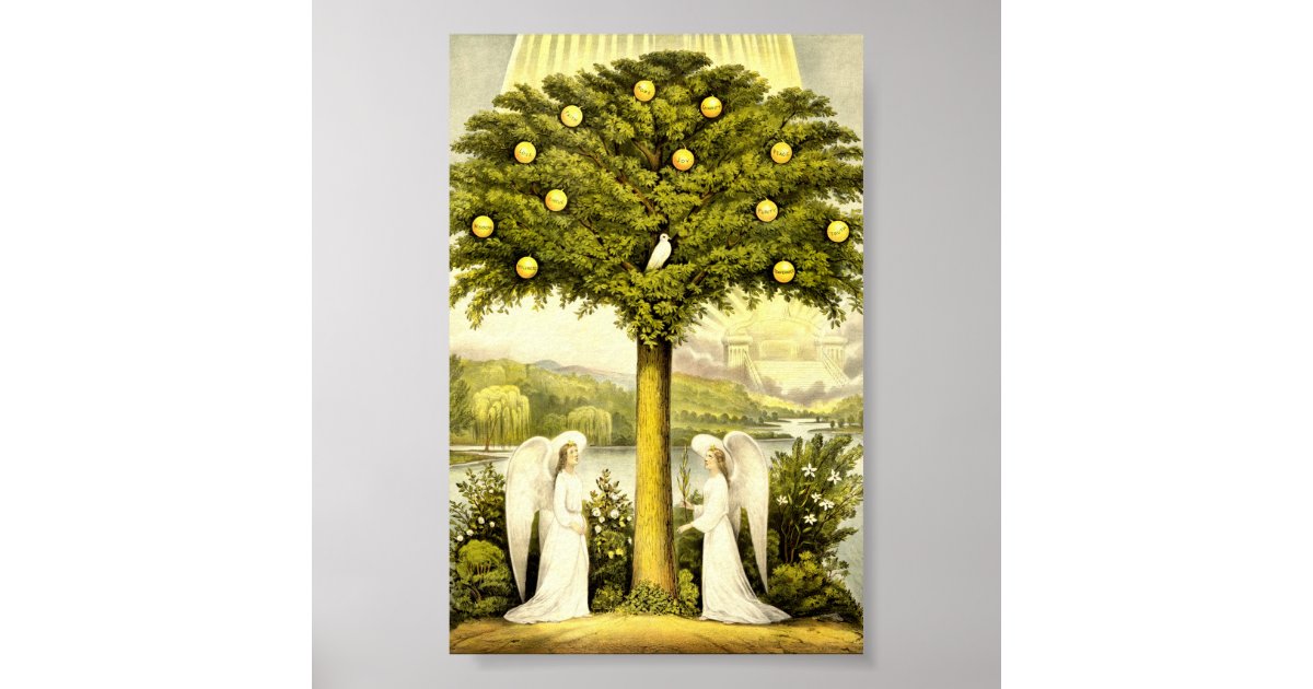 Vintage Tree of Life Christian Illustration 1892 Poster Zazzle