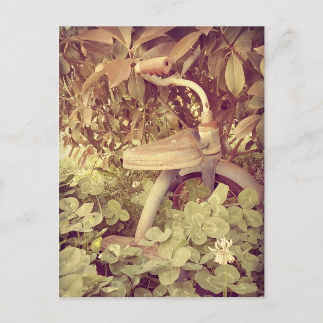 Vintage Tricycle Postcard (Front)