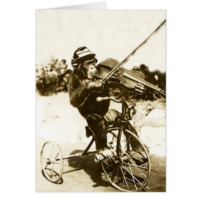 Vintage - Tricycle-Ridng Chimp Violinist, Cards (Front)