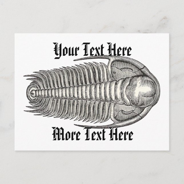 Vintage Trilobite Postcard (Front)