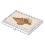 Vintage Triton Seashell Shell, Marine Ocean Animal Business Card Holder