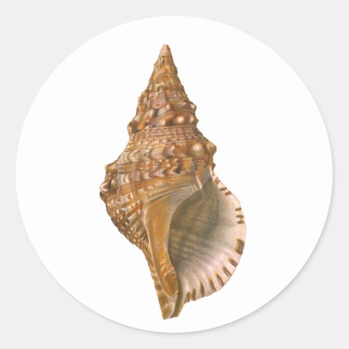 Vintage Triton Seashell Shell Marine Ocean Animal Classic Round Sticker