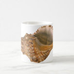 Vintage Triton Seashell Shell, Marine Ocean Animal Coffee Mug