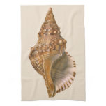 Vintage Triton Seashell Shell, Marine Ocean Animal Kitchen Towel