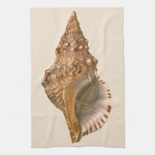 Vintage Triton Seashell Shell Marine Ocean Animal Kitchen Towel