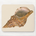 Vintage Triton Seashell Shell, Marine Ocean Animal Mouse Pad