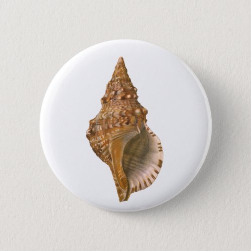 Vintage Triton Seashell Shell Marine Ocean Animal Pinback Button