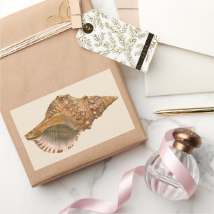 Vintage Triton Seashell Shell, Marine Ocean Animal Rectangular Sticker