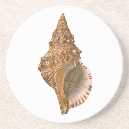 Vintage Triton Seashell Shell Marine Ocean Animal Sandstone Coaster