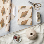 Vintage Triton Seashell Shell, Marine Ocean Animal Wrapping Paper