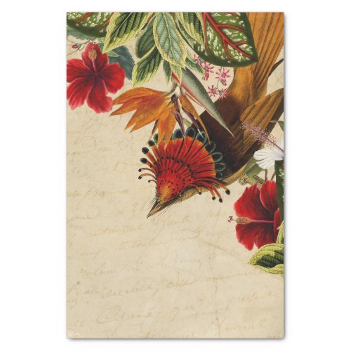 Vintage Tropical Bird and Flowers Tissue Paper