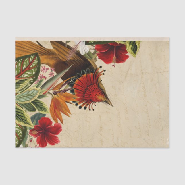 Vintage Tropical Bird and Flowers Tissue Paper (Front)
