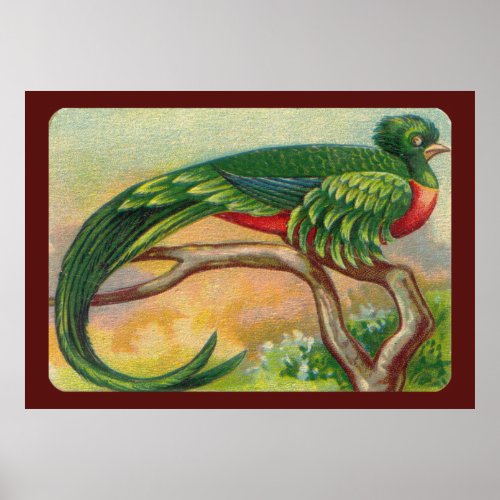 Vintage Tropical Bird Print