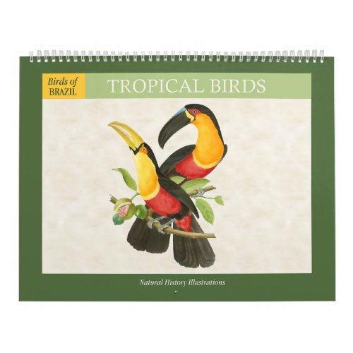 Vintage Tropical Birds Illustrations 2024 Calendar