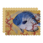 Vintage Tropical Blue Fish Coral Marine Ocean Life Invitation