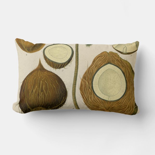 Vintage tropical coconut lumbar pillow (Front)