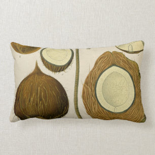 Vintage tropical coconut lumbar pillow