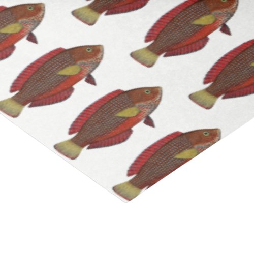 Vintage Tropical Fish Drawing Red Blue Gold Tissue Paper