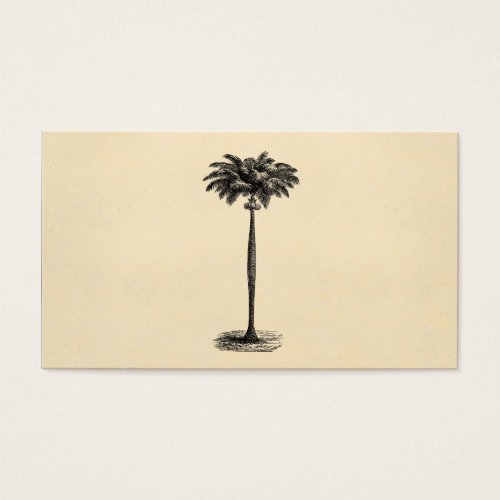 Vintage Tropical Island Palm Tree Template Blank Business Cards