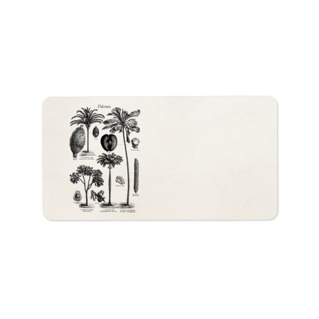 Vintage Tropical Island Palm Tree Template Blank Label (Front)