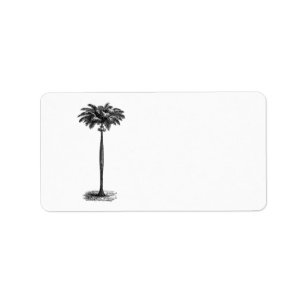 Vintage Tropical Island Palm Tree Template Blank Label
