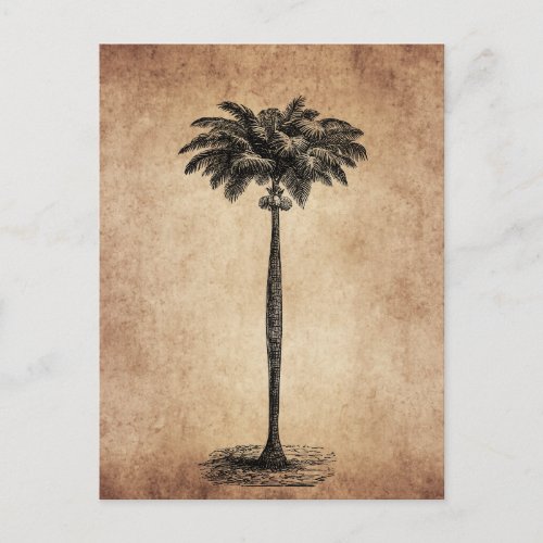 Vintage Tropical Island Palm TreeTemplate Blank Postcard