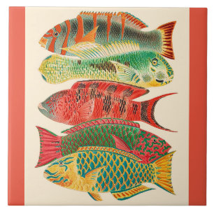 Vintage tropical ocean fish ceramic tile