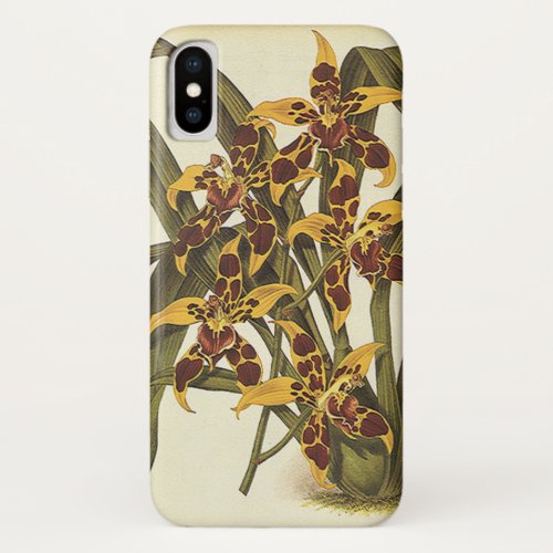 Vintage Tropical Odontoglossum Orchid Flowers iPhone X Case