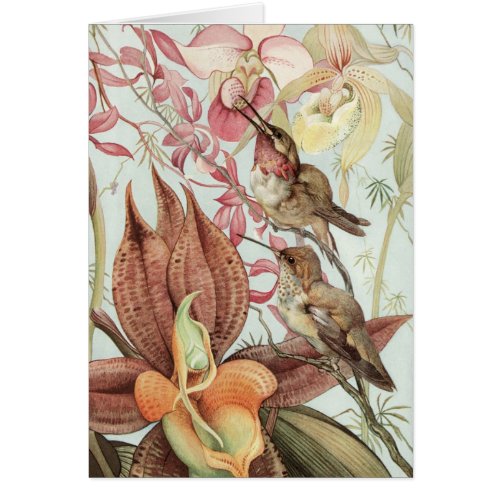 Vintage Tropical Orchids Flowers and Hummingbirds