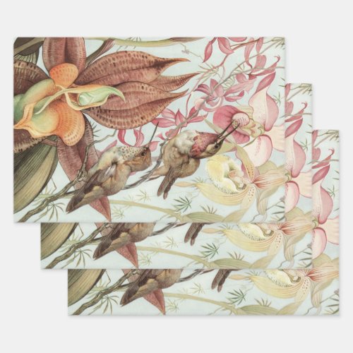 Vintage Tropical Orchids Flowers and Hummingbirds Wrapping Paper Sheets