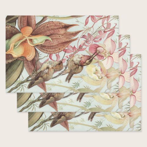 Vintage Tropical Orchids, Flowers and Hummingbirds Wrapping Paper Sheets